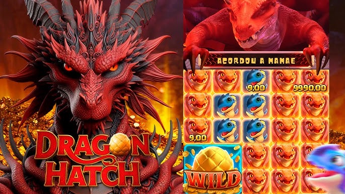 Maxwin Dragon Hatch