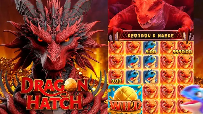 Maxwin Dragon Hatch