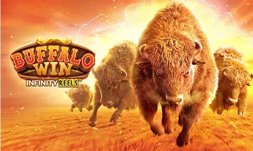 Laskartogel Buffalo win